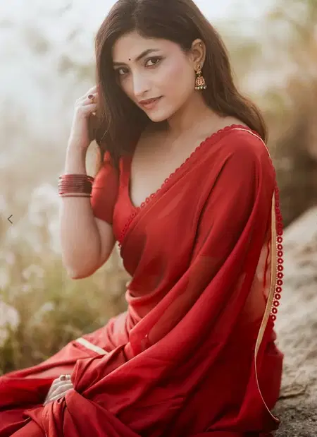 KT 211 Georgette With Lace Border Saree Wholesalers In Delhi